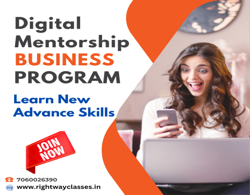 Digital Mentorship Business Program